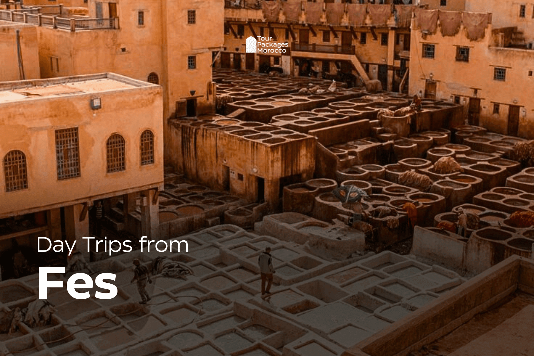 Day Trip from Fes